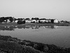 Reflection in the rice paddy