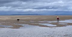 Findhorn Beach on a crowded Thursday afternoon in July!