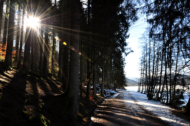 Wanderweg am Titisee (© Buelipix)