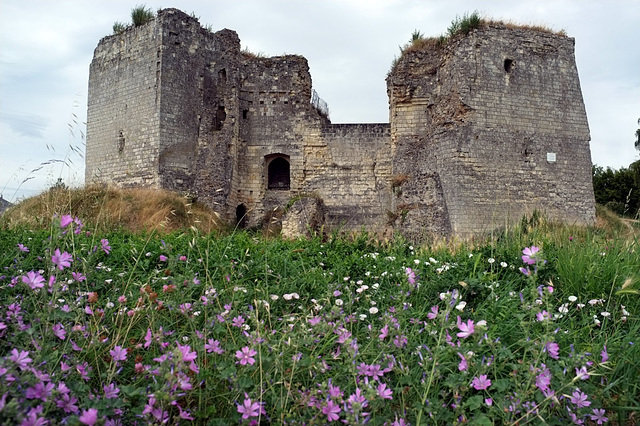 Château de Beaufort-en-Vallée - Maine-et-Loire