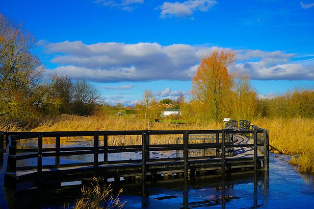 The Boardwalk