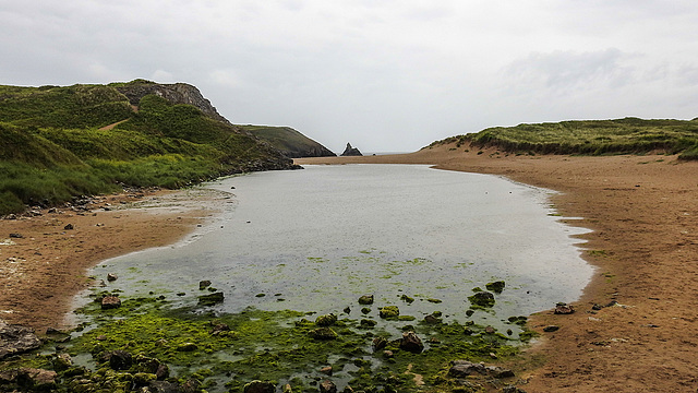 20190611 5005CPw [R~GB] Bosherston Lily ponds, Broad Haven South Beach, Wales