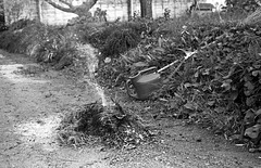 Burning weeds and litter on the road