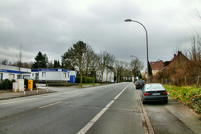 Wiescherstraße (Bochum-Hiltrop) / 22.02.2020