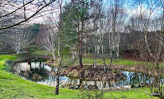 Pond refilled with watertable rising