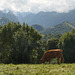 Asturias 15