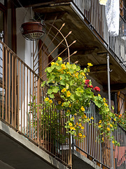 Flowery balcony at Piedicavallo, Biella