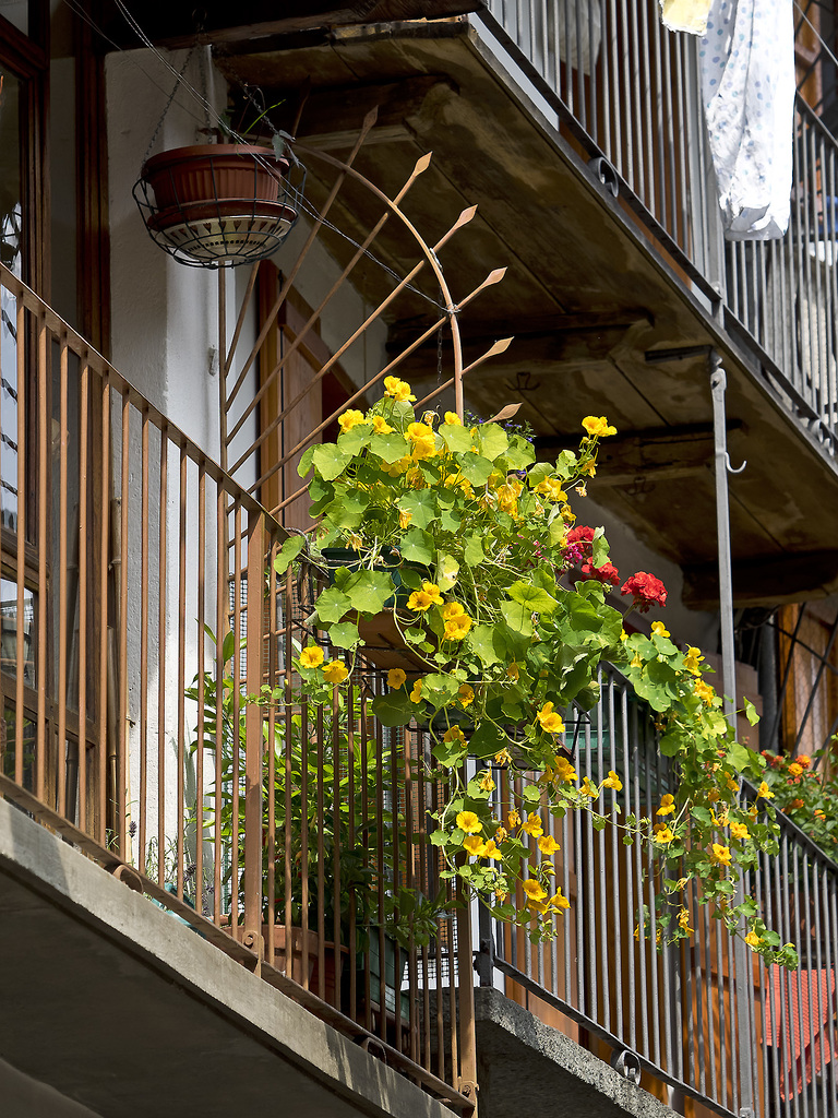 Flowery balcony at Piedicavallo, Biella