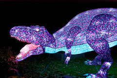 Tyrannosaurus rex (-68 à -66 millions d'années) Tyrannosaurus rex (-68 à -66 millions d'années)