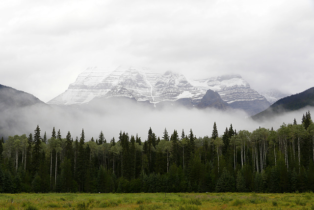 Mount Robson