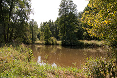 Waldnaabtal bei Falkenberg