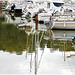 Reflets au port de Lyvet (22)