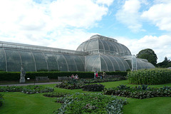 Palm House At Kew