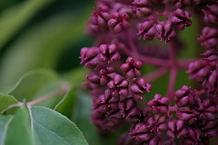 DSCF5157
