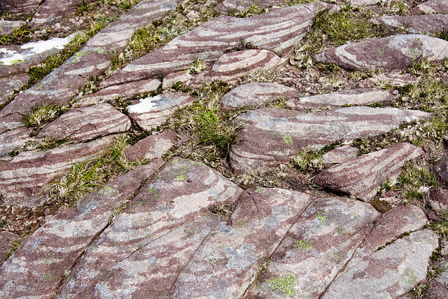 Quinag: Torridonian Sandstone on Sàil Gharbh