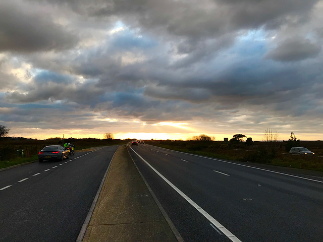 New Forest sunset