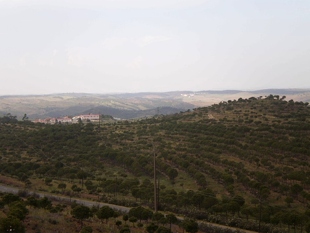 Beholding village from its own parish church.