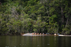 Venezuela, Upstream at High Speed along the River of Carrao