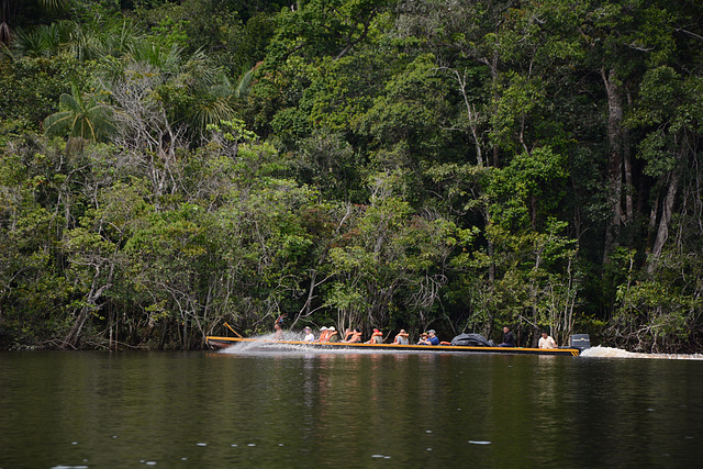Venezuela, Upstream at High Speed along the River of Carrao