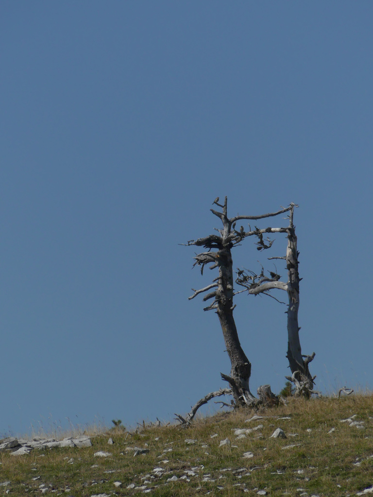 20190826 -0908 Diois (310)