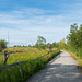 durch das Naturschutzgebiet Liminganlahti bei Liminka (© Buelipix)