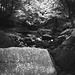Burbage Brook at Padley Gorge (Scan from 1989)