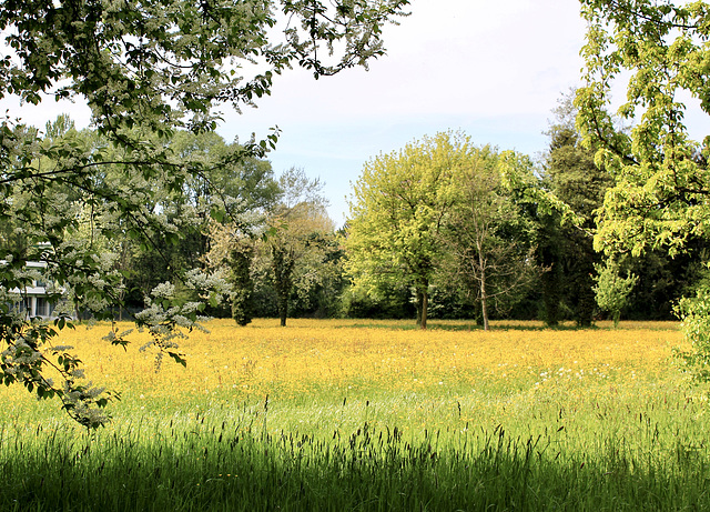 Frühling