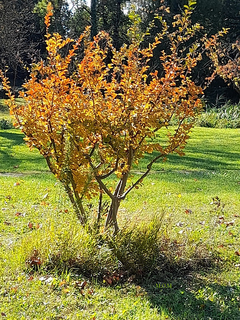 Belle couleur***************