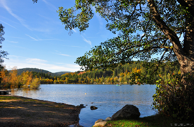 Herbst am Titisee (© Buelipix)