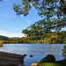 Herbst am Titisee (© Buelipix)