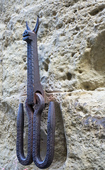 Horse hitch, San Gimignano