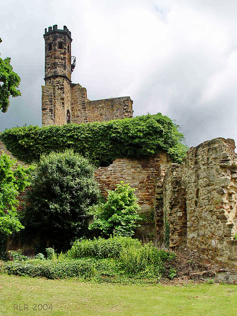 Burgruine Hardenberg