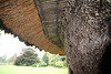 Detail of 1834 Garden  Pavilion, Traquir House, Borders, Scotland