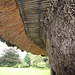 Detail of 1834 Garden  Pavilion, Traquir House, Borders, Scotland