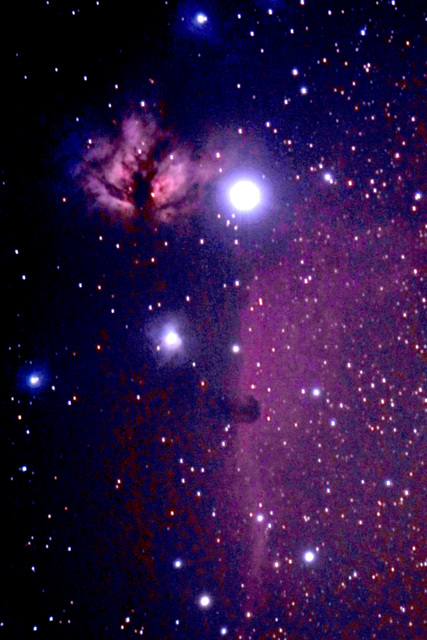 Flame and Horsehead nebulae