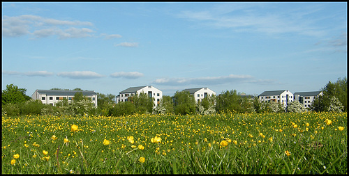 dreaming blocks of Oxford