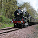 GWR 4073 class Castle 4079 PENDENNIS CASTLE at Summerseat with the 13.43 Heywood - Rawtenstall ELR 27th April 2024.