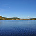 Blick über den Titisee nach Titisee (© Buelipix)