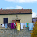 Laundry in autumn, San Gimignano