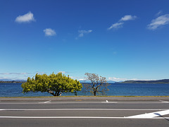 Neuseeland - Taupo