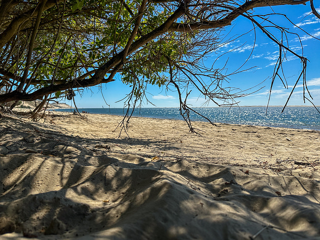 8 Bassin d'Arcachon