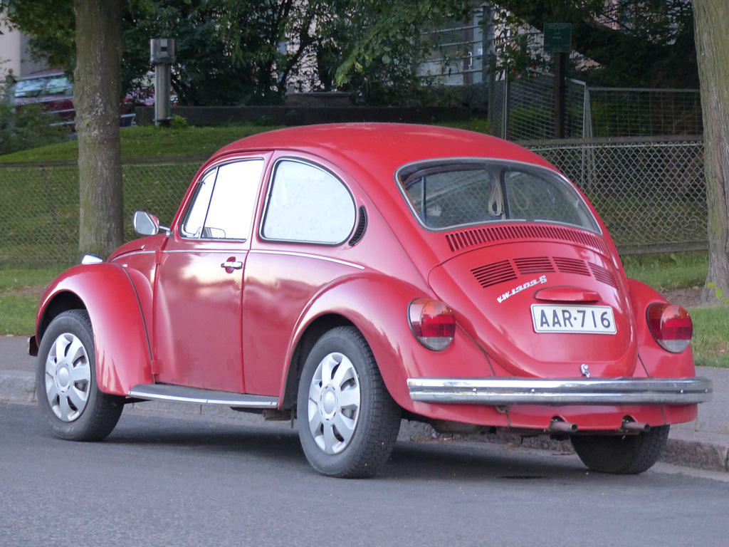 Beetles around Helsinki (1) - 3 August 2016