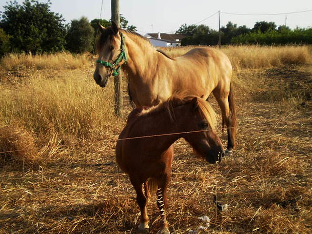 Mother and child.