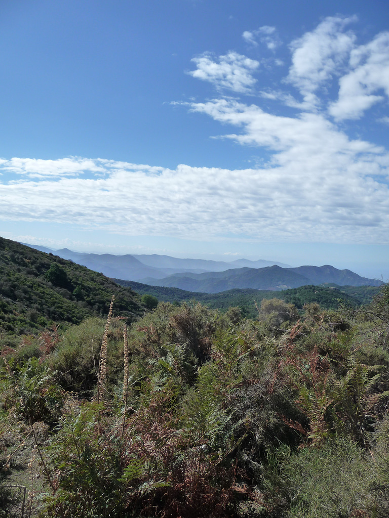 P1160590