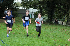 IMG 9961