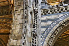 A Stonemason's Whimsy – Natural History Museum, South Kensington, London, England