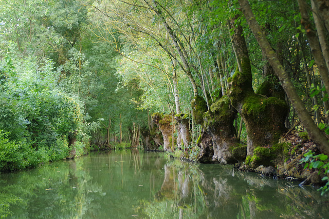 Canal lumineux !