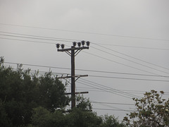 LADWP 34.5kV & 4.8kV