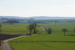 Spaziergang bei Gieboldehausen