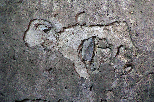 Sur un mur , une créature légendaire , un mouton ailé .